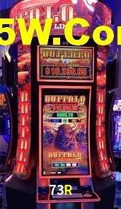 VIP Casino 73R